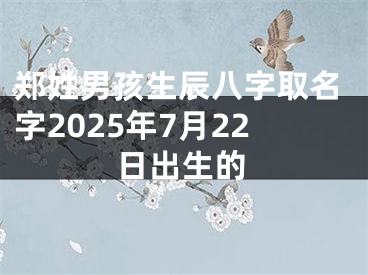 郑姓男孩生辰八字取名字2025年7月22日出生的