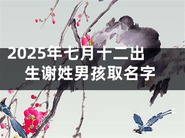 2025年七月十二出生谢姓男孩取名字