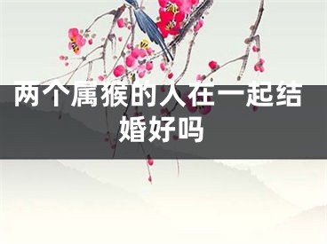 两个属猴的人在一起结婚好吗