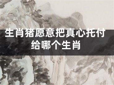 生肖猪愿意把真心托付给哪个生肖