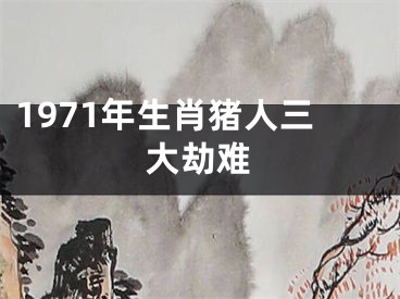1971年生肖猪人三大劫难