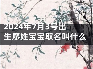 2024年7月3号出生廖姓宝宝取名叫什么