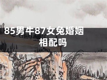 85男牛87女兔婚姻相配吗
