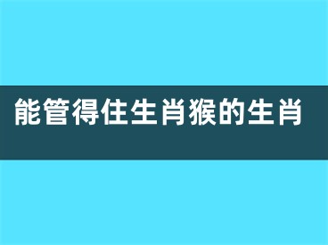 能管得住生肖猴的生肖
