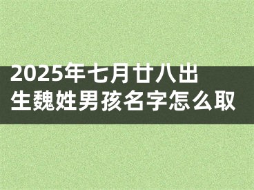 2025年七月廿八出生魏姓男孩名字怎么取