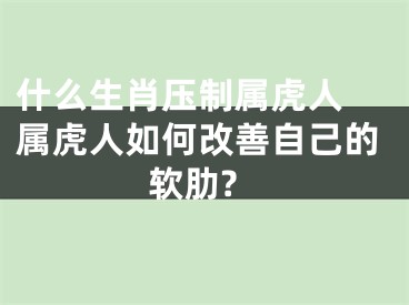 什么生肖压制属虎人 属虎人如何改善自己的软肋?