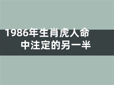 1986年生肖虎人命中注定的另一半