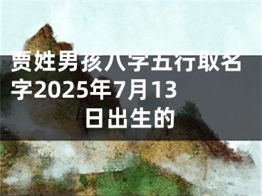 贾姓男孩八字五行取名字2025年7月13日出生的