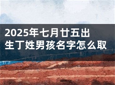 2025年七月廿五出生丁姓男孩名字怎么取
