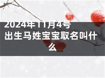 2024年11月4号出生马姓宝宝取名叫什么