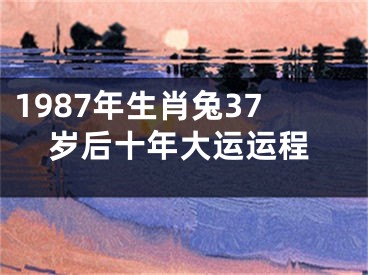 1987年生肖兔37岁后十年大运运程