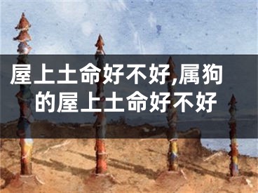 屋上土命好不好,属狗的屋上土命好不好
