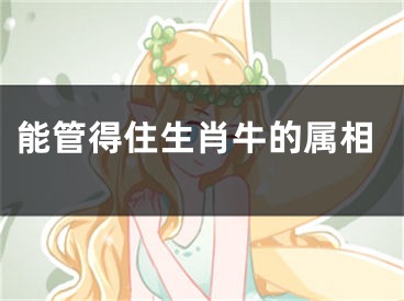 能管得住生肖牛的属相