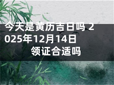 今天是黄历吉日吗 2025年12月14日领证合适吗