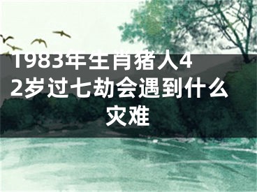 1983年生肖猪人42岁过七劫会遇到什么灾难
