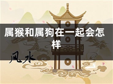 属猴和属狗在一起会怎样