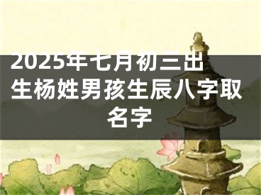 2025年七月初三出生杨姓男孩生辰八字取名字