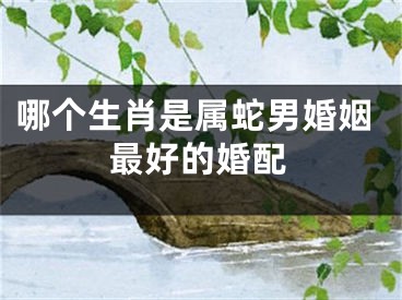 哪个生肖是属蛇男婚姻最好的婚配