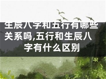 生辰八字和五行有哪些关系吗,五行和生辰八字有什么区别