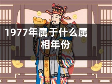1977年属于什么属相年份