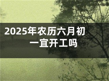 2025年农历六月初一宜开工吗