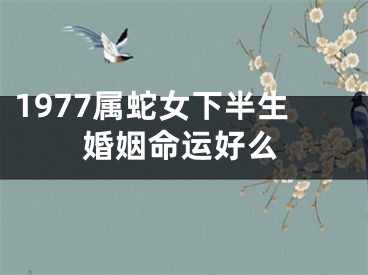 1977属蛇女下半生婚姻命运好么