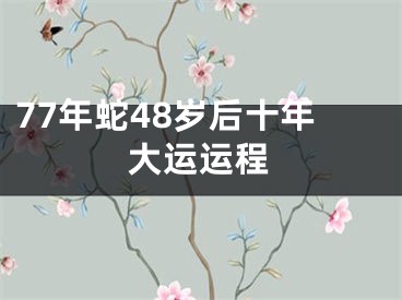 77年蛇48岁后十年大运运程