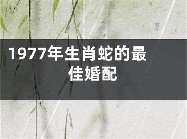 1977年生肖蛇的最佳婚配