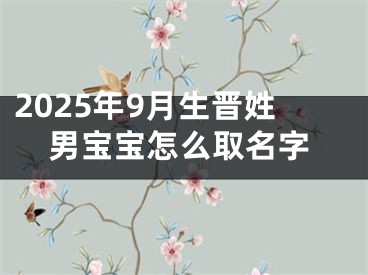 2025年9月生晋姓男宝宝怎么取名字