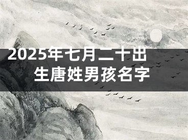 2025年七月二十出生唐姓男孩名字