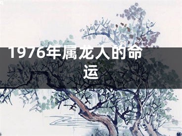 1976年属龙人的命运