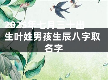 2025年七月三十出生叶姓男孩生辰八字取名字