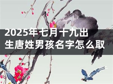 2025年七月十九出生唐姓男孩名字怎么取