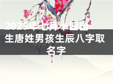 2025年七月十四出生唐姓男孩生辰八字取名字