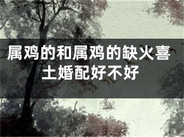 属鸡的和属鸡的缺火喜土婚配好不好