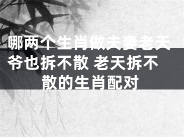 哪两个生肖做夫妻老天爷也拆不散 老天拆不散的生肖配对