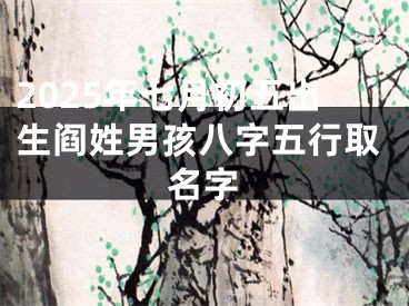 2025年七月初五出生阎姓男孩八字五行取名字
