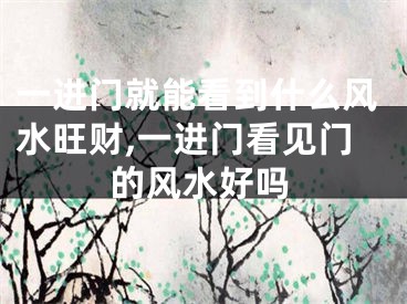 一进门就能看到什么风水旺财,一进门看见门的风水好吗