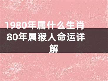 1980年属什么生肖 80年属猴人命运详解