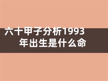 六十甲子分析1993年出生是什么命