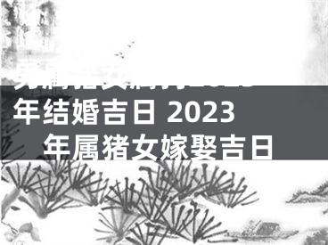 男属猪女属狗2023年结婚吉日 2023年属猪女嫁娶吉日