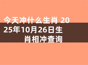 今天冲什么生肖 2025年10月26日生肖相冲查询