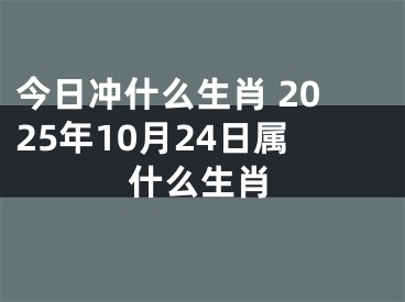 今日冲什么生肖 2025年10月24日属什么生肖