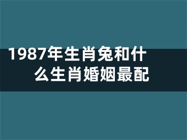 1987年生肖兔和什么生肖婚姻最配