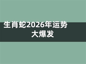 生肖蛇2026年运势大爆发