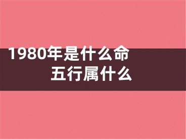 1980年是什么命 五行属什么
