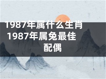 1987年属什么生肖 1987年属兔最佳配偶