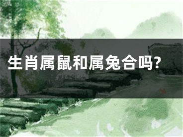 生肖属鼠和属兔合吗?