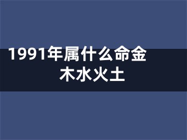 1991年属什么命金木水火土