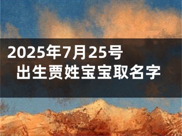 2025年7月25号出生贾姓宝宝取名字